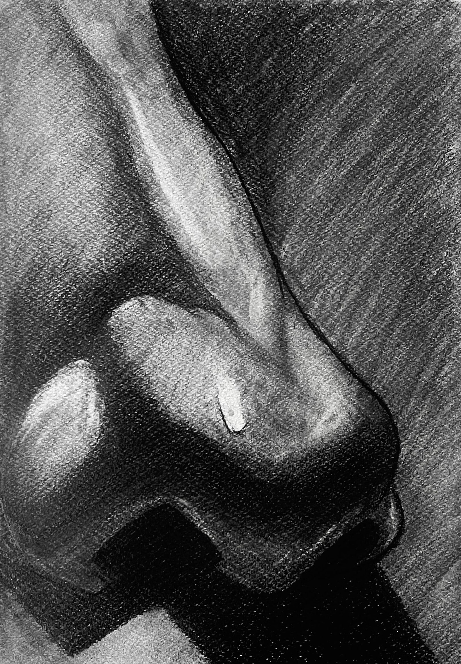 Fine Art Study in charcoal capturing realistic textures and traditional composition
